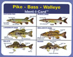 Pike - Bass - Walleye Ident-I-Card - Waterproof Freshwater Fish Identification Card