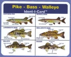 Pike - Bass - Walleye Ident-I-Card - Waterproof Freshwater Fish Identification Card