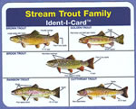 Show product details for Stream Trout Ident-I-Card - Waterproof Freshwater Fish Identification Card