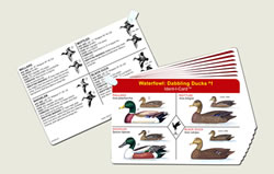 Waterfowl Ident-I-Cards