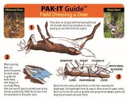PAK-IT Guide to Field Dressing a Deer - Waterproof Hunting Card