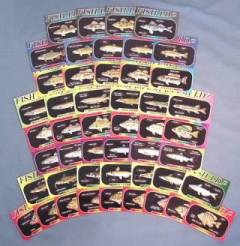 Fish IDZ Freshwater Fish Trading Cards