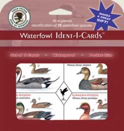 Waterfowl Ident-I-Cards in Retail Packaging