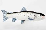 Atlantic Salmon - 17 inch Stuffed Animal