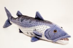 Barracuda -  17 inch Stuffed Animal