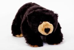 Black Bear - Stuffed Animal