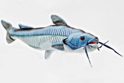 Blue Catfish - 10 inch Stuffed Animal