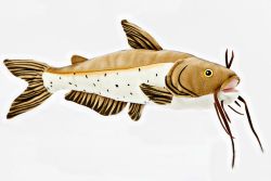 Channel Catfish -10 inch  Stuffed Animal