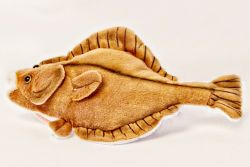 Flounder - 10 inch  Stuffed Animal