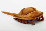 Horseshoe Crab - Stuffed Animal