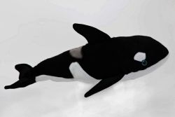 Killer Whale - 10 inch Stuffed Animal