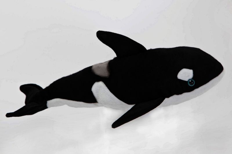 killer whale stuffed animal