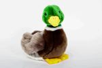 Mallard Duck - Stuf...