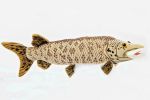 Muskellunge - 17 inch Stuffed Animal