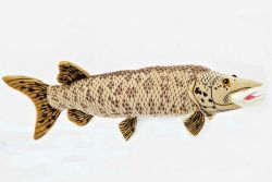 Muskellunge - 17 inch Stuffed Animal