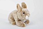 Rabbit - Stuffed Animal