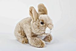 Rabbit - Stuffed Animal