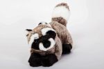 Raccoon - Stuffed Animal