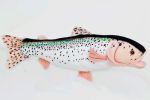 Rainbow Trout - 10 ...