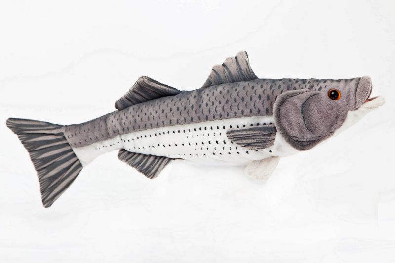 Cabin Critters Striped Bass 10 Stuffed Plush Animal Freshwater Fish Collection
