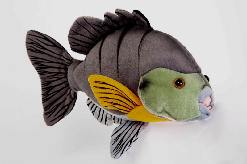 Cabin Critters Sunfish Stuffed Animal Plush Toy 12.5 L