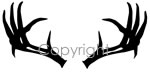 Antlers Decal