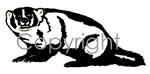 Badger Decal