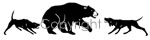 Bayed Bear Decal