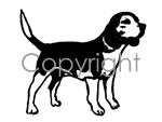 Beagle Decal
