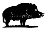 Wild Pig Decals