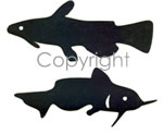 Catfish Decal