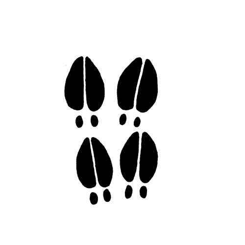 thumbnail image 2 of Deer Tracks Decals Sticker – Hunting Vinyl, Multiple Colors & Sizes, USA Made 2 of 4