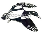 Flying Mallard Decal