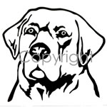 Lab Head Decal