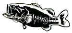 Large mouth bass Decal