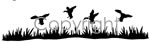 Mallard's Marsh Decal