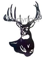 Megabuck Decal