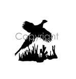 Pheasant Decal
