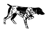 Pointer Decal