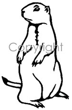Prairie Dog Decal