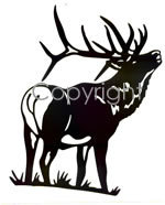 Royal bull Decal