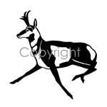 Running Antelope Decal