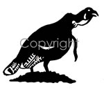 Turkey Decal