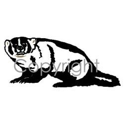 Badger Decal