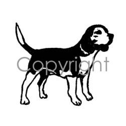 Beagle Decal