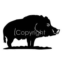Boar Decal