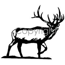 Buglin' Bull Decal