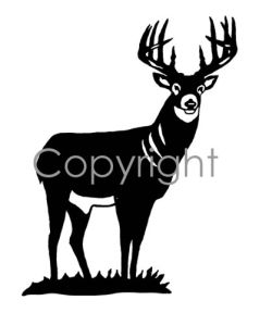 Full Body Buck! Decal