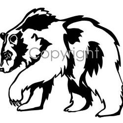 Grizzly Decal