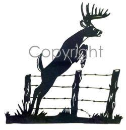 Jumping Buck Decal